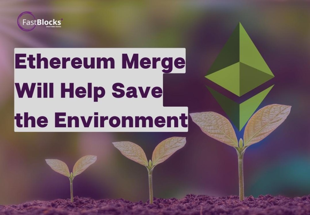 ethereum environment